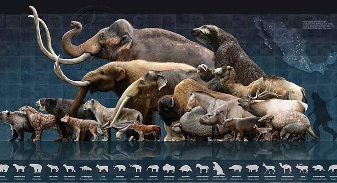 Sử thay đổ Khí CO2 và Metan dẫn đến Kỷ Băng Hà